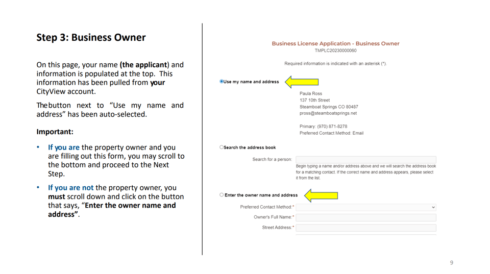 Steamboat Springs official application portal screenshot for workflow step 2