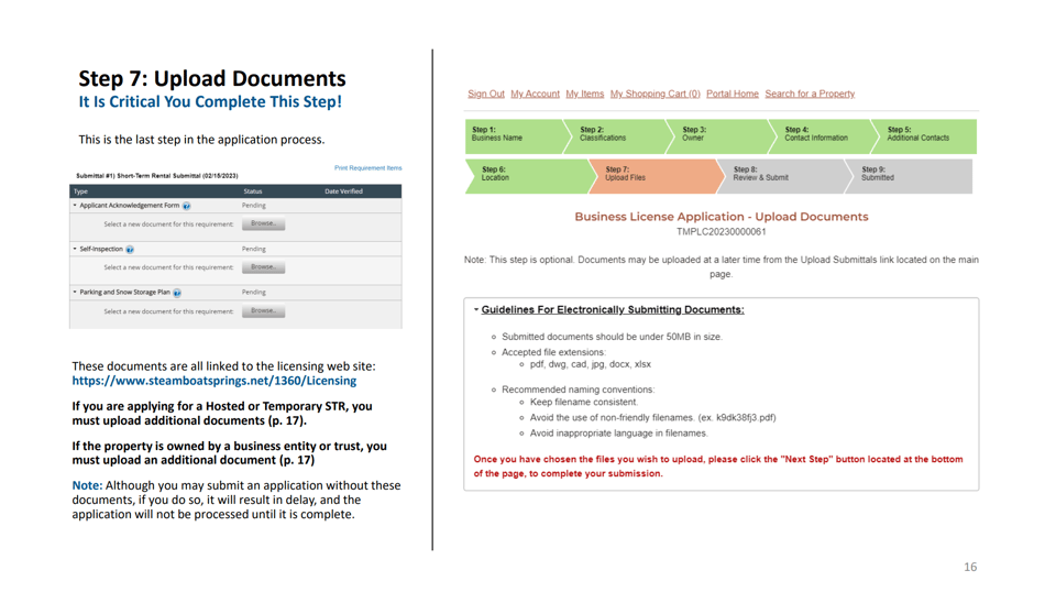 Steamboat Springs official application portal screenshot for workflow step 4