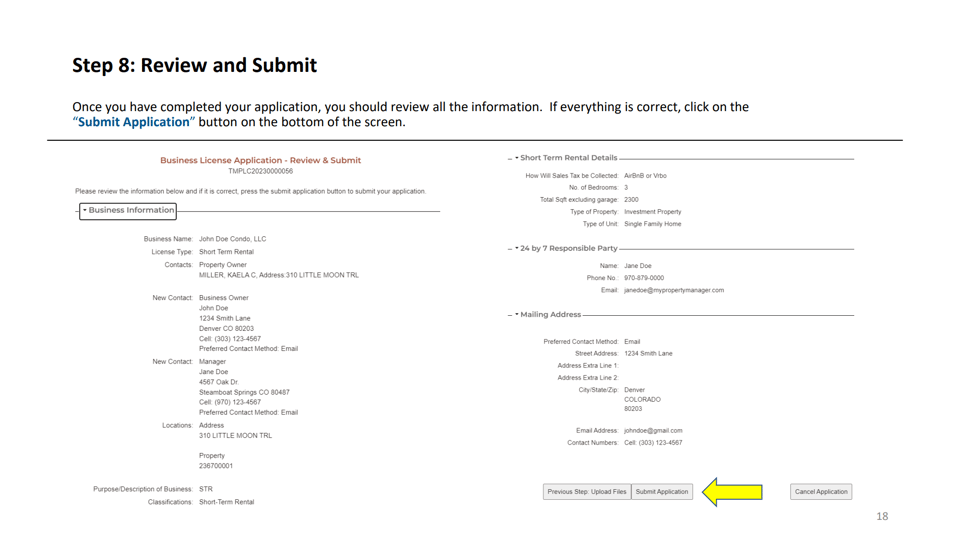 Steamboat Springs official application portal screenshot for workflow step 4