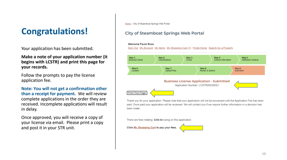 Steamboat Springs official application portal screenshot for workflow step 5